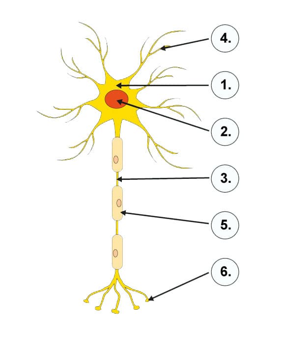 Question Image
