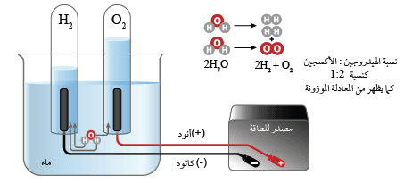 Answer Image