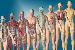 placeholder image to represent content