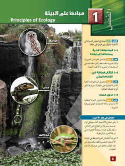 placeholder image to represent content