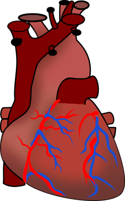 placeholder image to represent content