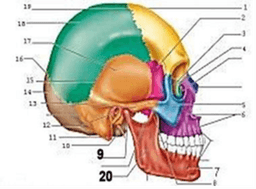placeholder image to represent content