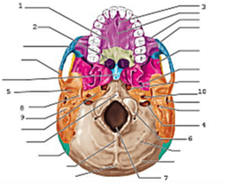 placeholder image to represent content