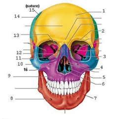 placeholder image to represent content