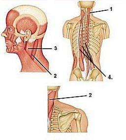 placeholder image to represent content