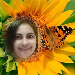 placeholder image to represent content