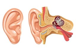 placeholder image to represent content