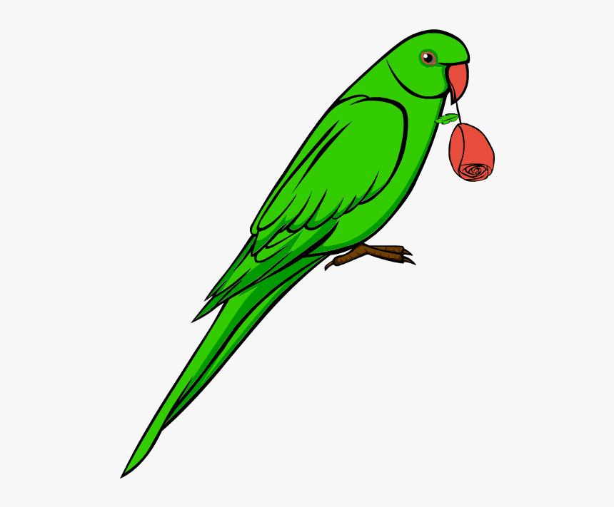 Answer Image