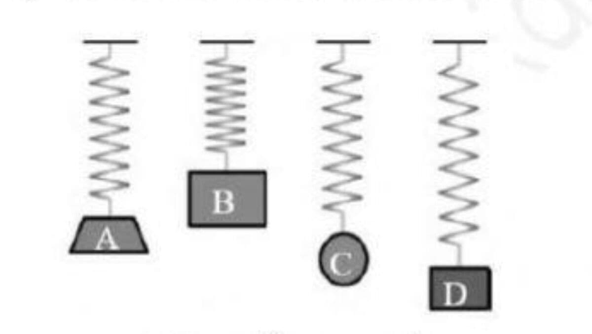 Question Image