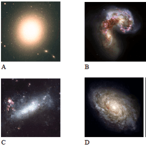 Question Image