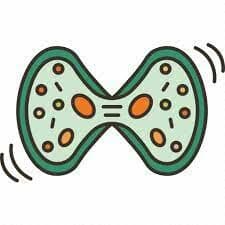 placeholder image to represent content