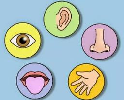 placeholder image to represent content