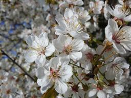 placeholder image to represent content