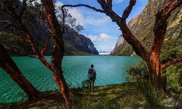 placeholder image to represent content