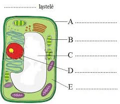 placeholder image to represent content