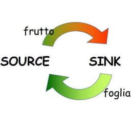 placeholder image to represent content