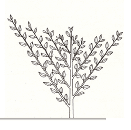 placeholder image to represent content