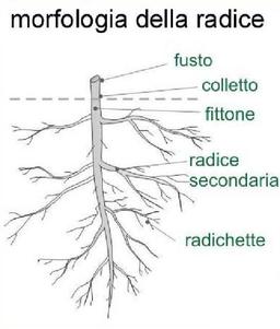 placeholder image to represent content