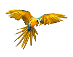 placeholder image to represent content