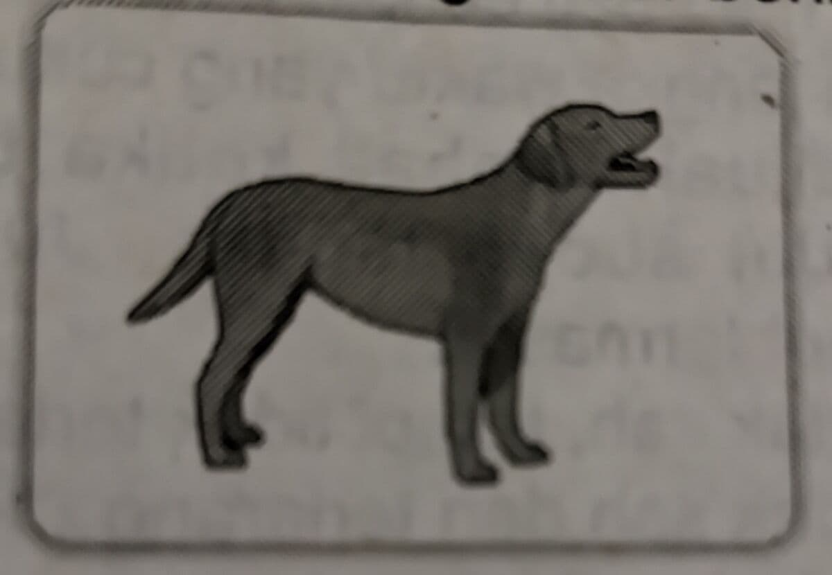 Question Image