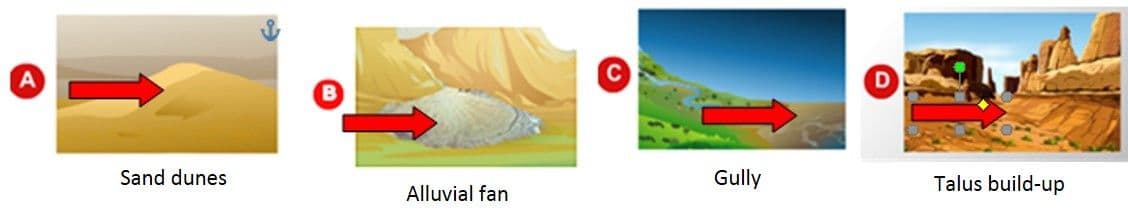 Question Image
