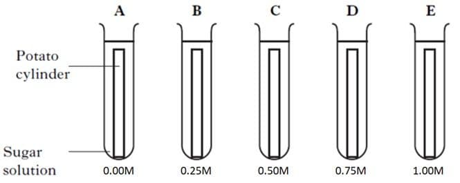 Question Image