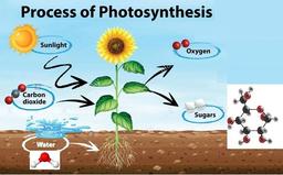 placeholder image to represent content