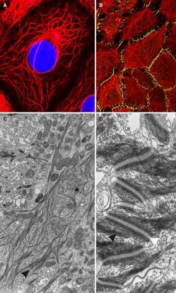 placeholder image to represent content