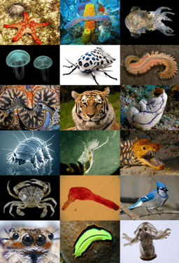 placeholder image to represent content