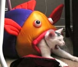 placeholder image to represent content
