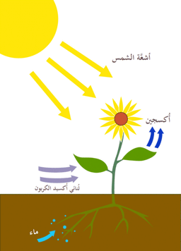 placeholder image to represent content