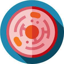 placeholder image to represent content