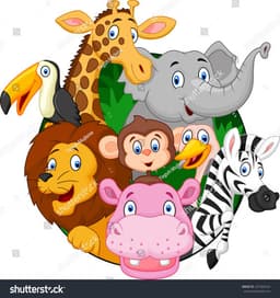 placeholder image to represent content