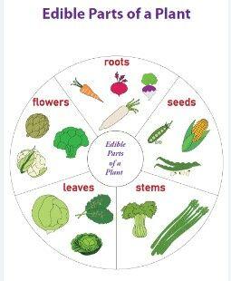 placeholder image to represent content