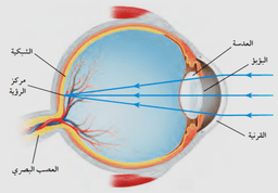 placeholder image to represent content