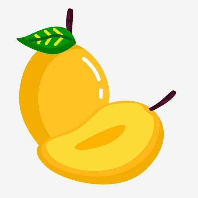 Answer Image