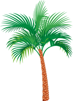 placeholder image to represent content