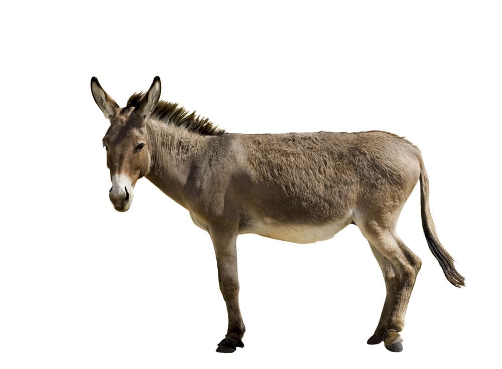 Question Image