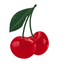 Answer Image