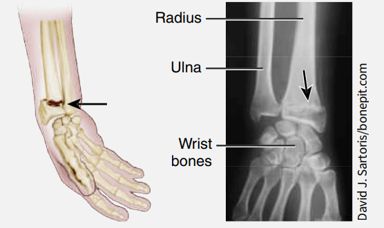 Question Image