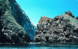 placeholder image to represent content