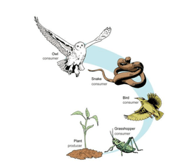 placeholder image to represent content