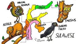 placeholder image to represent content