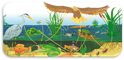 placeholder image to represent content