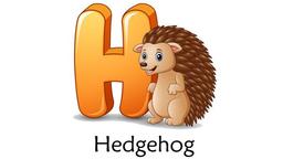 placeholder image to represent content