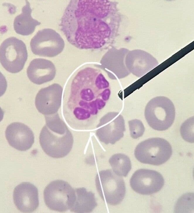Question Image