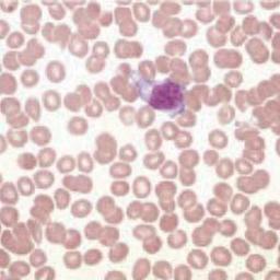 placeholder image to represent content