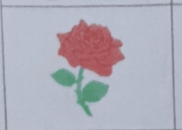 Question Image