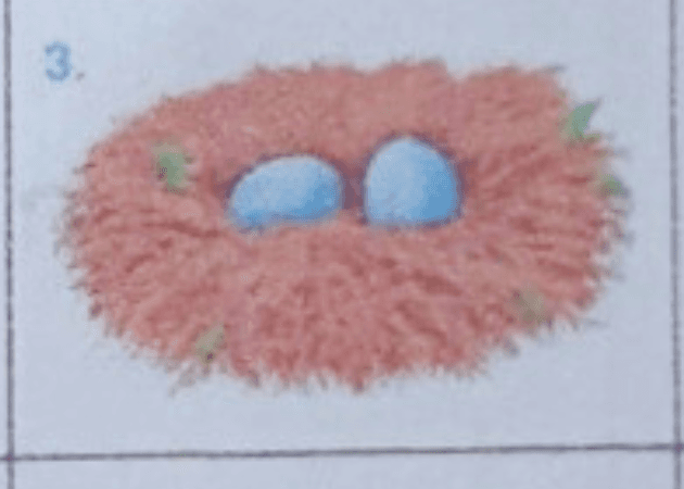 Question Image