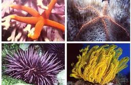 placeholder image to represent content